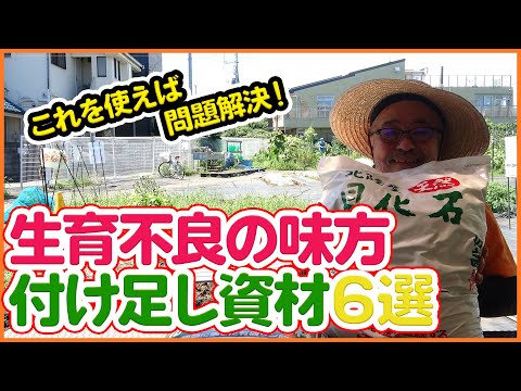芝生や庭でカタバミと戦うにはどうすればよいですか？有機栽培についての誠実な答え!  庭園