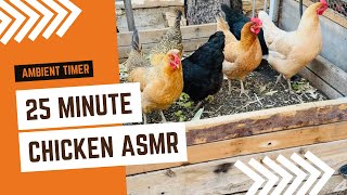 🕒 25-Minute Chicken ASMR Timer | Dirt Bathing Relaxation with Real Chickens 🐔🌿