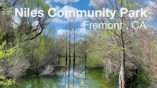 3 Best Public Parks in Fremont, CA - Expert Recommendations