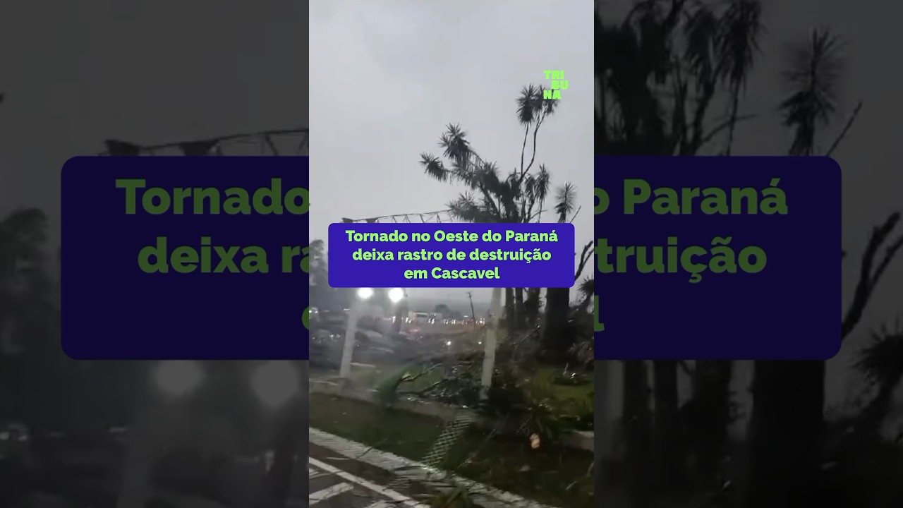 youtube video id=5qx8Sxb1cEw