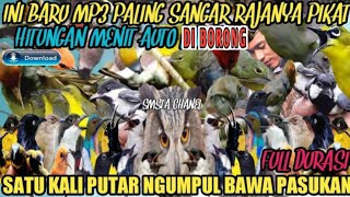 Download lagu SUARA PIKAT SEMUA JENIS BURUNG LIAR TERBAIK LANGSUNG NGUMPUL @Smstachanel mp3 Download lagu SUARA PIKAT SEMUA JENIS BURUNG LIAR TERBAIK LANGSUNG NGUMPUL @Smstachanel mp3