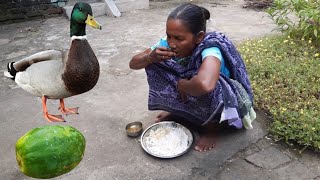 Village Famous Papaya Duck Curry
