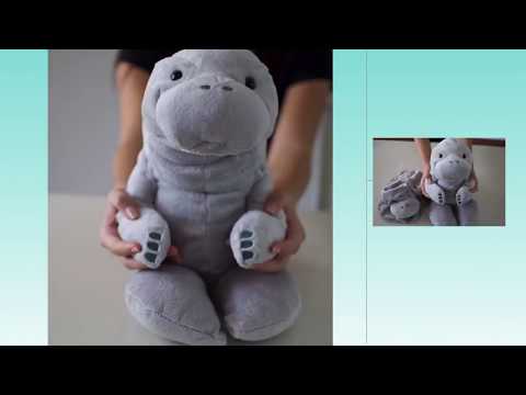 download lagu mp3 mp4 Zoo Factory, download lagu Zoo Factory gratis, unduh video klip Zoo Factory