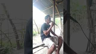 Download lagu meedly sarangan mp3