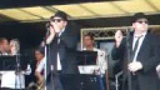 Flip Flop Fly - Blues Brothers Little Brother