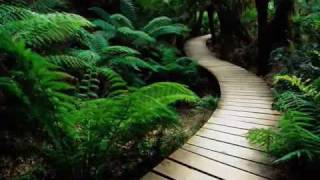 Justin Hayward &amp; John Lodge ~ Blue Guitar