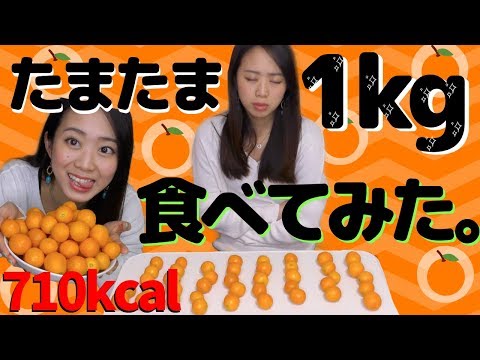 Bull Puluの紹介動画