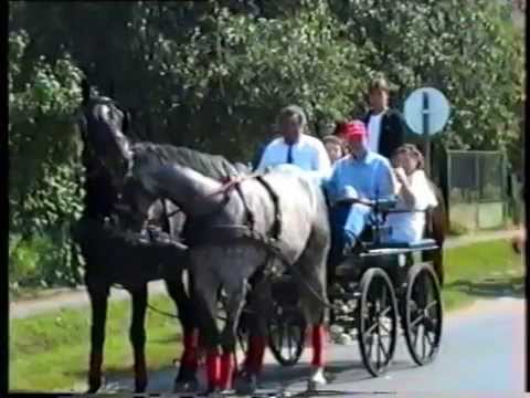 Tápiószecső falunap 1995.07.01.