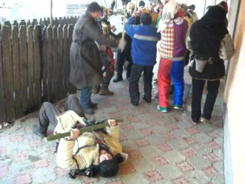 uratori din oniceni.2012-2013