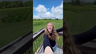 Escaped to Southern Illinois for the weekend #exploreillonois #shawneeforest #travel #vineyard