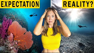 Is RAJA AMPAT Still Worth It in 2026? (CORAL BLEACHING)