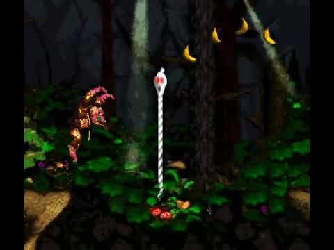 DKC 2: 4 Kongs Experiment (Donkey)