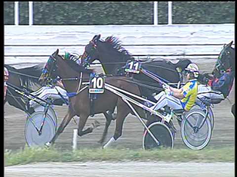 Trotto 12/05/2017 - 5ª corsa