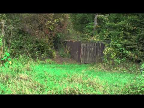 Frühherbst im Grombachtal bei Bruchsal