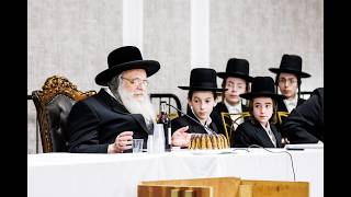 מעמד לחיים וקבלת פנים לרבי שאול אלתר במסע לבארא פארק אייר תשפ"ו - לרומם את הבהמיות אל הקדושה