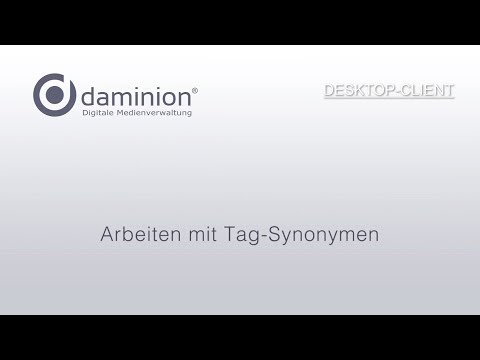 Daminion Tutorial PC Client Synonyme 171116