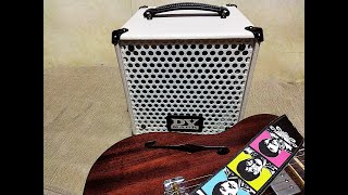 Video thumbnail for 🎼🎸DV Mark Little Jazz Amp👍👍 by jazzydog