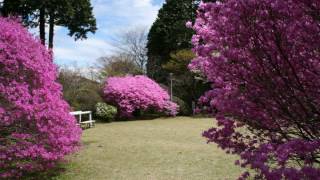 Senkyoro - Hakone - Japan