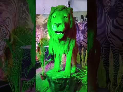 jungle ke Raja jaldi aaja #lion #youtubeshorts #viral #lions #tiger #jungle #mishibaheti