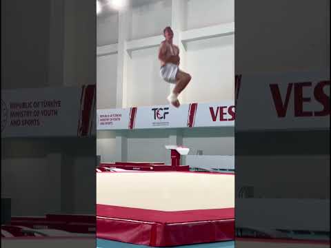 Спортивная гимнастика России