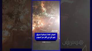 تعرض غابات إسبانية  لحريق كبير ثانٍ في  أقل من أسبوع#غابات #حريق #إسبانيا #viral #MA thumbnail