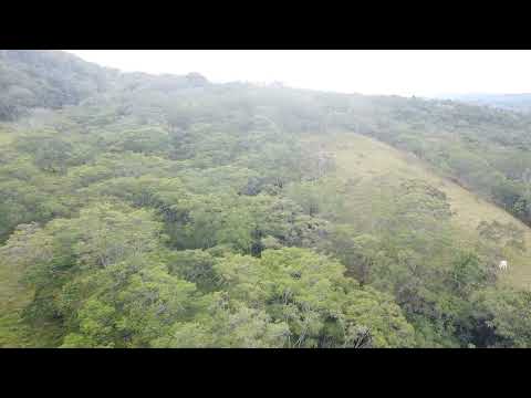 🌳🏡 ¡LOTE EN VENTA EN PUENTE NACIONAL, SANTANDER! 🌄