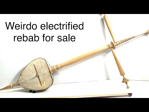 Electrified Indonesian Javanese Rebab bowed experimental instrument The Vulcan Harp 1960s - Maple image 10