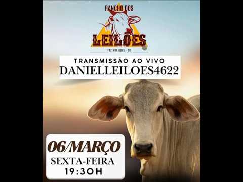 Fazenda Nova - GO   06/03/2026