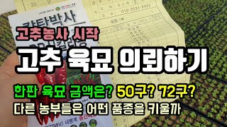 육묘장에 고추 육묘 의뢰하러 다녀왔습니다. 육묘 단가와 다른 농부들은 어떤 고추를 키울까요?