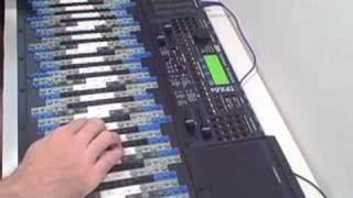 Video thumbnail for Tonal Plexus TPX6s by Aaron Andrew Hunt