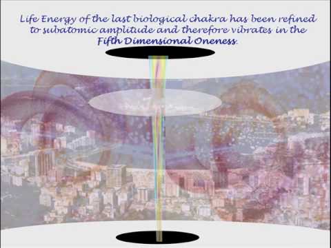 MEF 12: Seventh Floor - Totality Centre