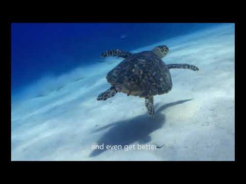 5th ASEAN Youth Video Contest - Enhance ASEAN with Renewable Energy