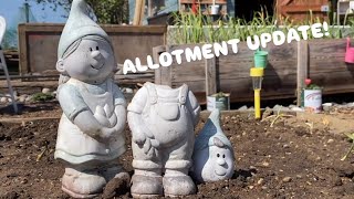 UK Allotment - UPDATE! - April 2025