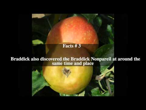 Claygate Pearmain Top # 5 Facts