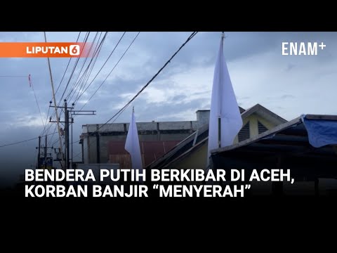 Bendera Putih Berkibar Di Aceh, Simbol Keputusasaan Korban Banjir? | Liputan6