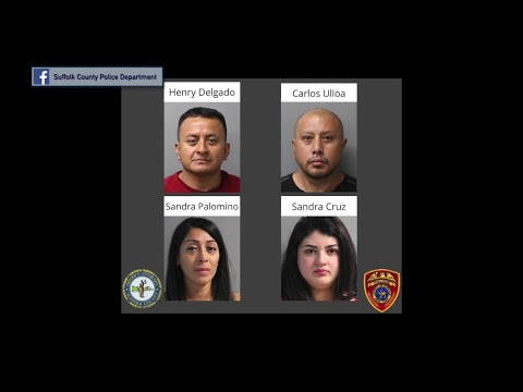 NY Long Island Suffolk County Organized Retail Theft Crime Ring Busted