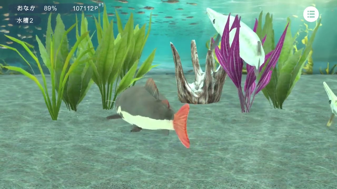 アプリ「レッドテールキャットと古代魚水槽」PR動画