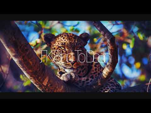 Dan Caster & Edouard - El Camino