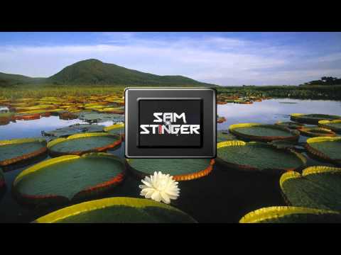 Akon ft  Bone Thugs N Harmony   I Tried vs  The Notorious B I G    Can I Get Witcha Matoma Remix 1