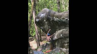 Video thumbnail de La baleine (direct), 7b. Fontainebleau