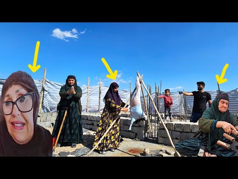 Lawyer's Fee, Ms. Goli's fight against Shirzad's oppression. Will Goli succeed?