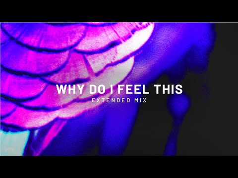 Mr. Sid & Choujaa - Why Do I Feel This (Extended Mix)