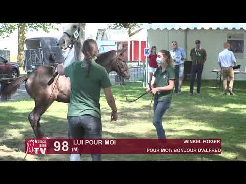 Sprinter Sacré Show 2021 : Lot 98 - Lui Pour Moi
