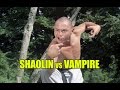 Wu Tang Collection Shaolin Vs Vampire