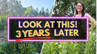 June Farm Tour: These Year 3 Perennials are Insane!