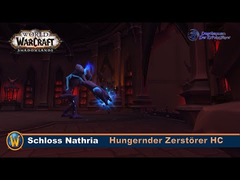 Hungernder Zerstörer (HC) - Schloss Nathria - BM Hunter | Shadowlands