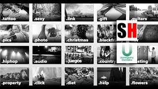 The Site Hosting Co. - News