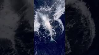 WOW 😍 Was that sound real? @karimiliya #whale #whales #sea #marine #marinelife #whale #oceans #ocean