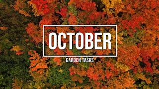 October Gardening: Essential Tasks Before Winter