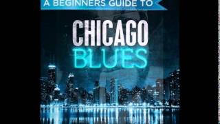 Lowell Fulson  ~  ''I Cried (Like A Baby) ''&''Every Day I Have The Blues'' 1969